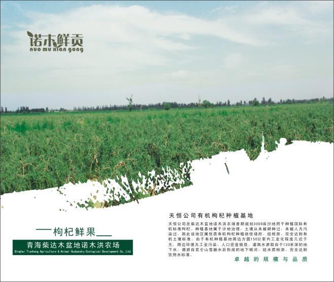 &#20061;&#28216;&#22312;&#32447;&#23448;&#26041;&#23448;&#32593;&#45;&#20061;&#28216;&#40;&#20013;&#22269;&#41;